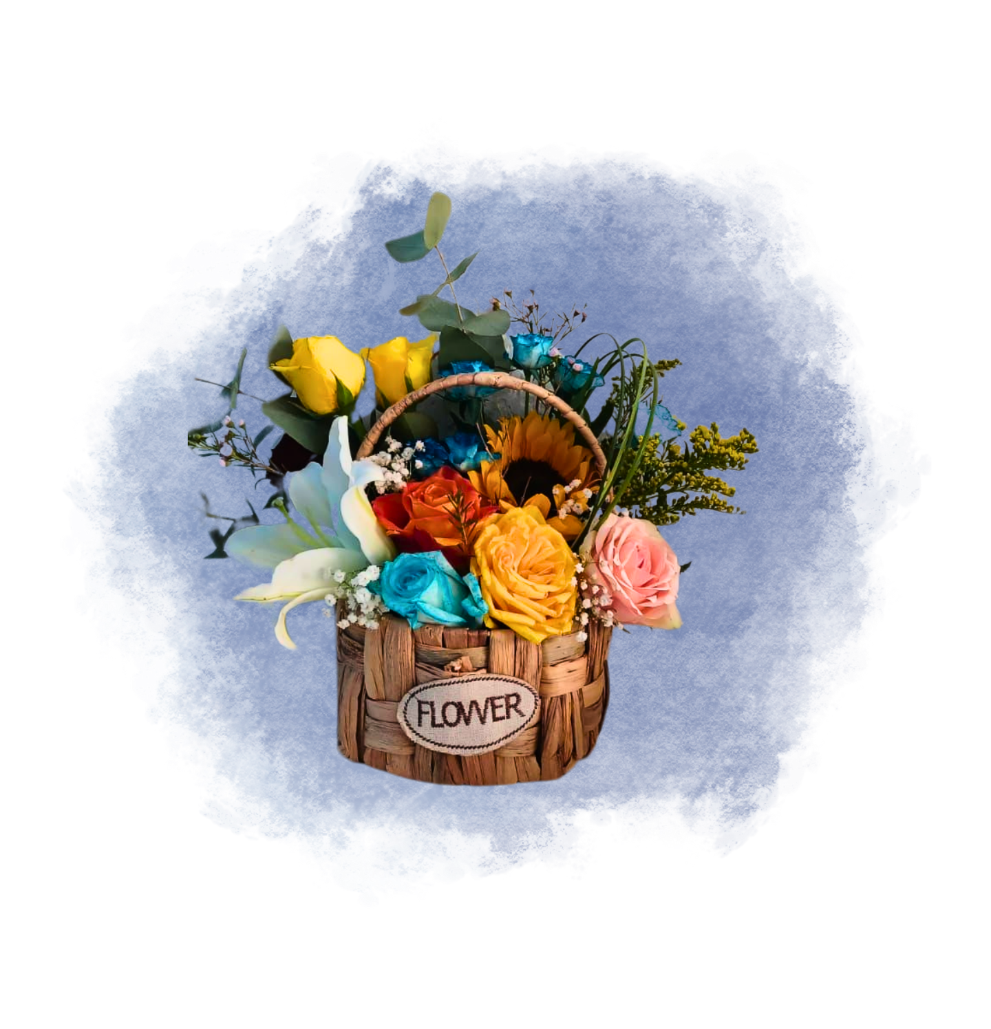 Eizu Colorful Basket