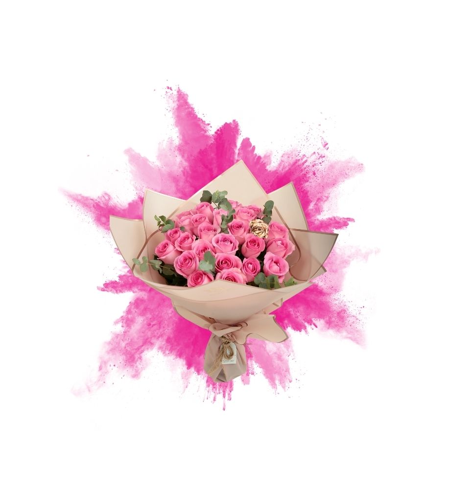 Eizu Pink Dreams