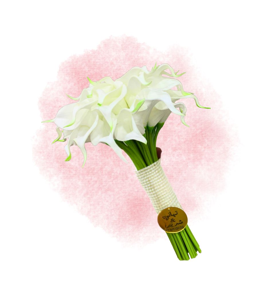 Eizu Bridal White Catch