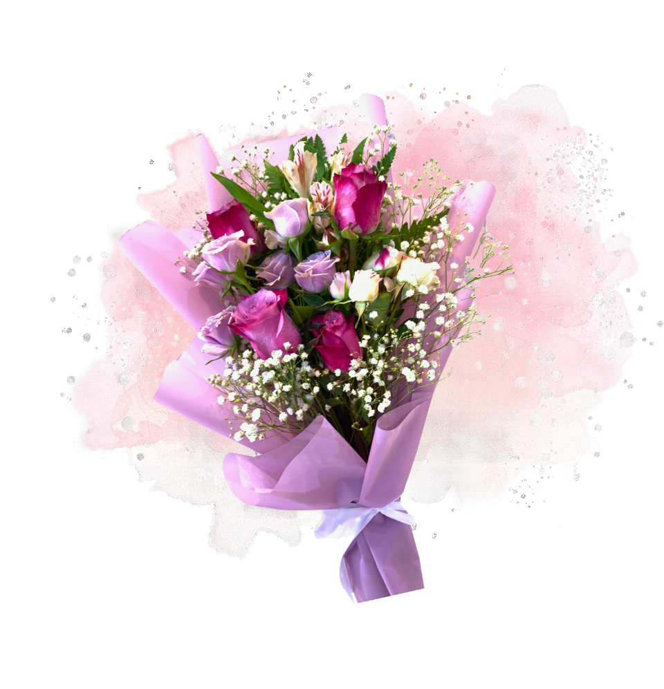 Eizu Pink Melody
